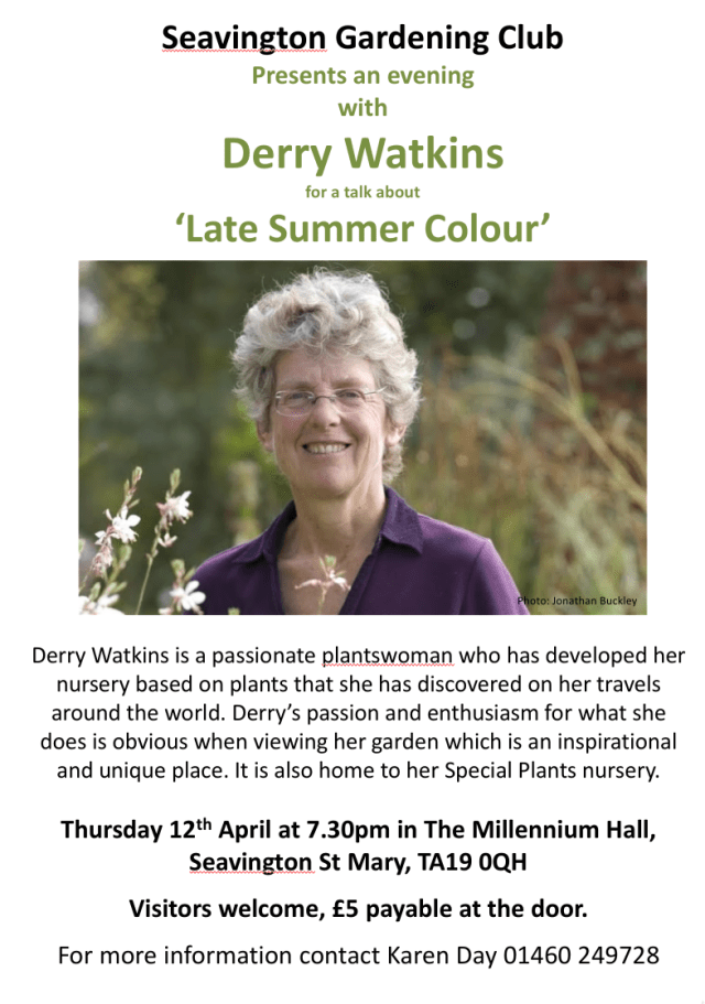 Derry Watkins promo - Read-Only 2018-03-02 17-09-29