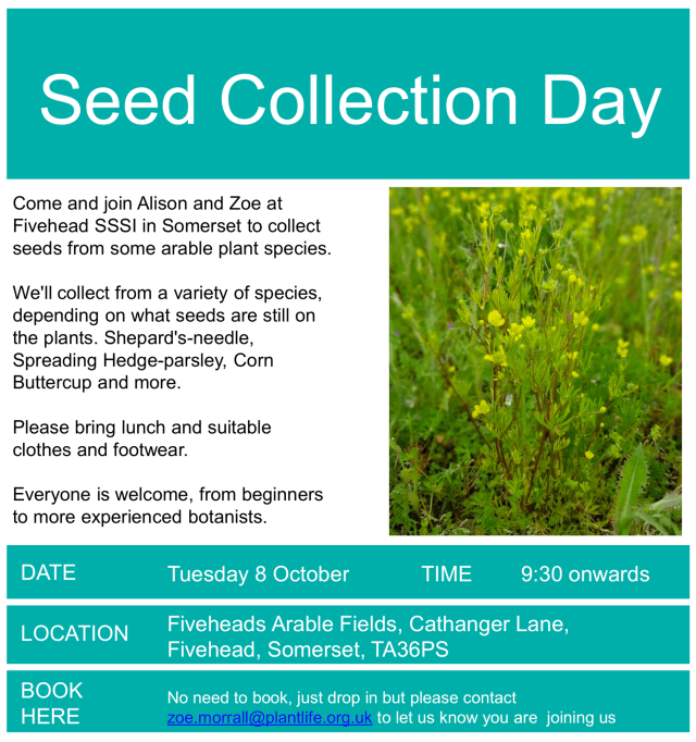 Xnip2019-10-06_16-59-49